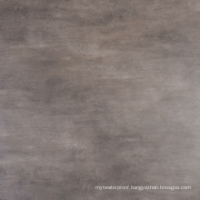 Low Water Absorption Matt Surface Ceramic Tiles 60X60